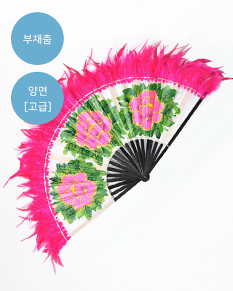 Fan Dance Fan [Double Side - Advanced] Korea