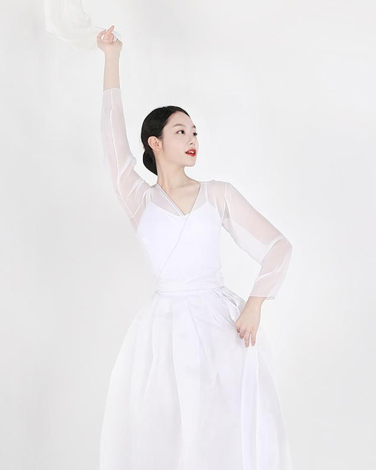 Chiffon Jeogori [12 colors] Korea